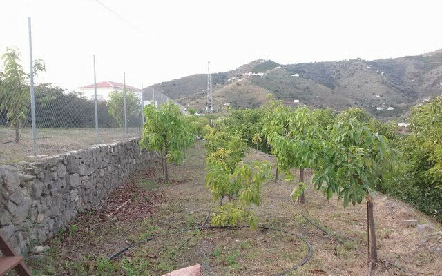 Finca - Cortijo Torrox Málaga - image 34
