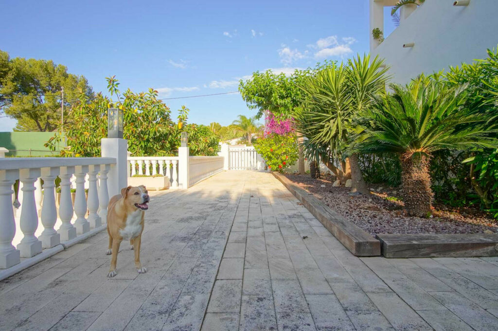 Detached Villa Denia Alicante - image 35