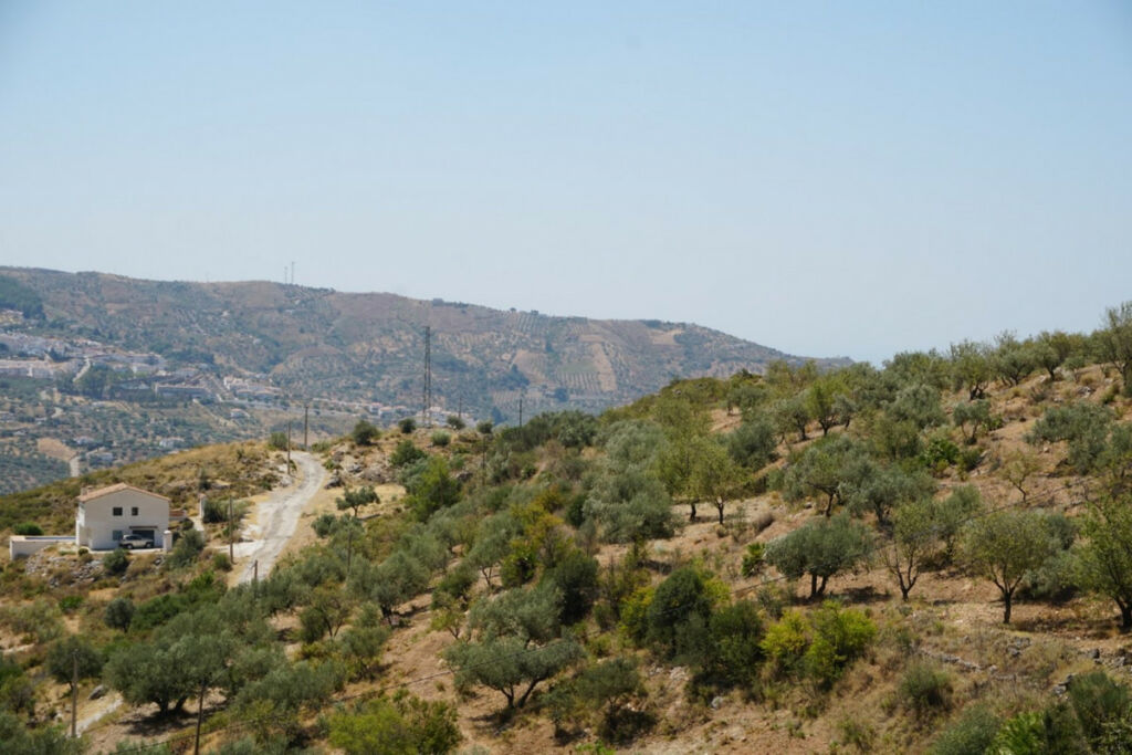 Detached Villa Alcaucín Málaga - image 36