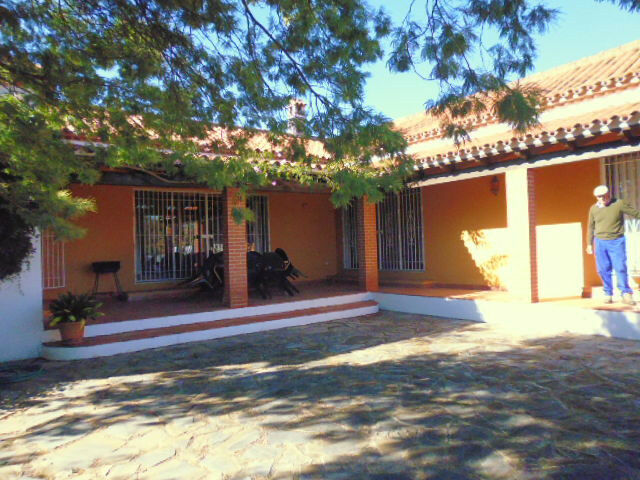 Finca - Cortijo Jimena de la Frontera Cádiz - image 33