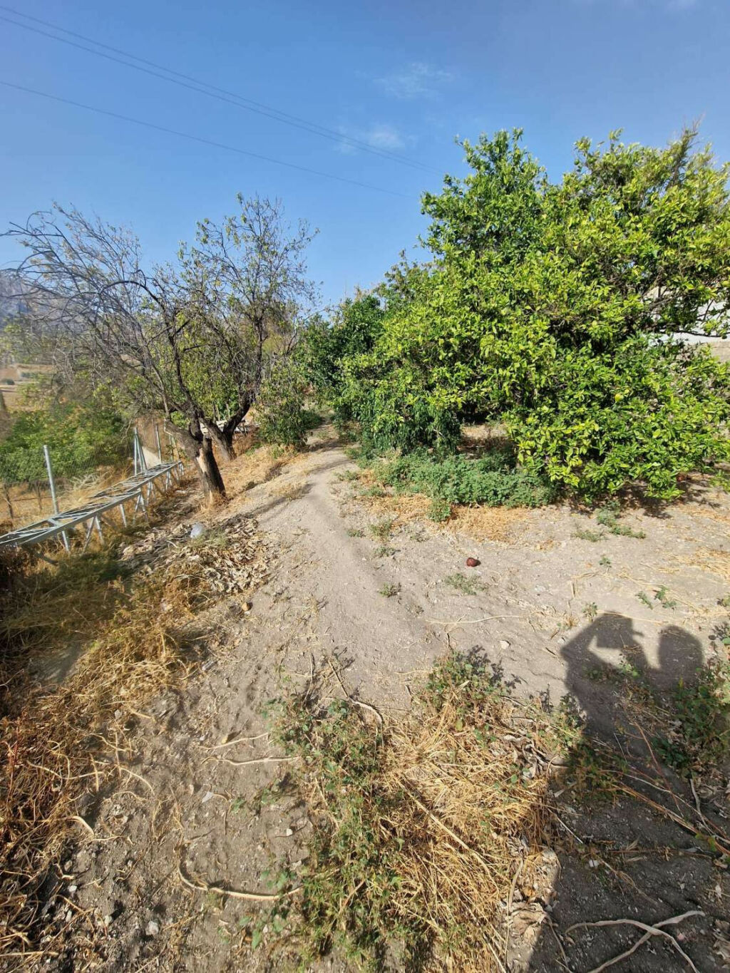 Detached Villa Alora Málaga - image 37