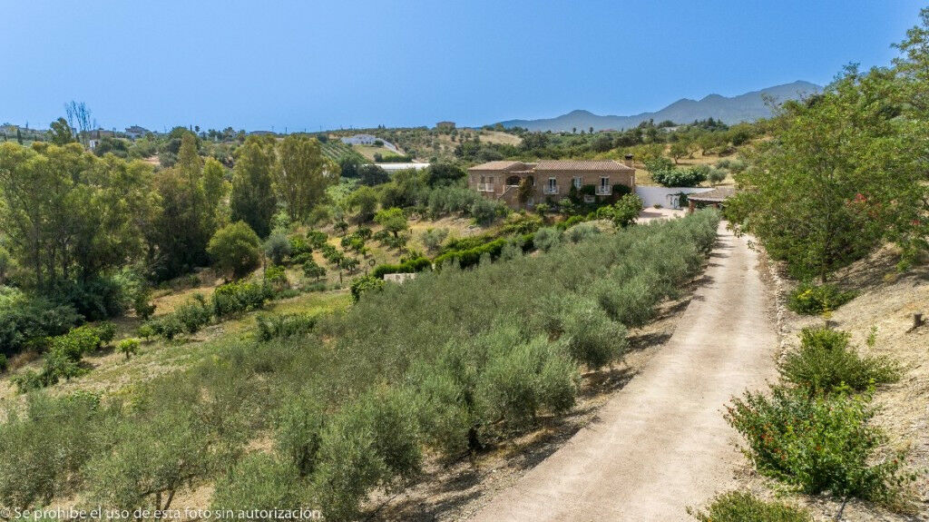 Finca - Cortijo Alhaurín de la Torre Málaga - image 37