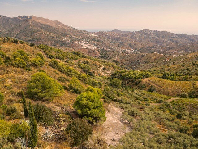 Detached Villa Canillas de Albaida Málaga - image 37