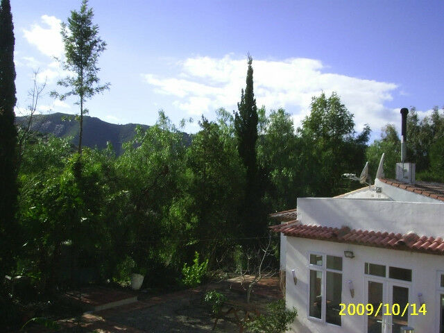 Finca - Cortijo Vélez-Málaga Málaga - image 37