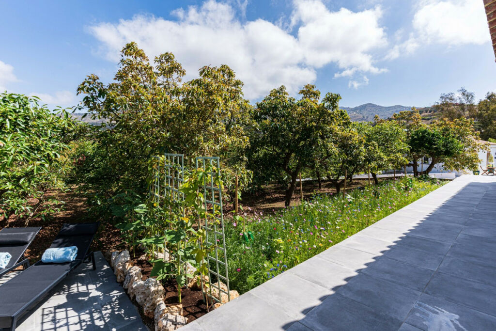 Finca - Cortijo Vélez-Málaga Málaga - image 37