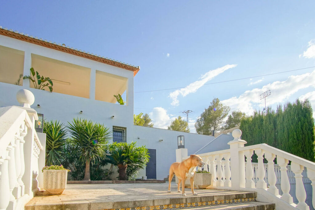 Detached Villa Denia Alicante - image 38