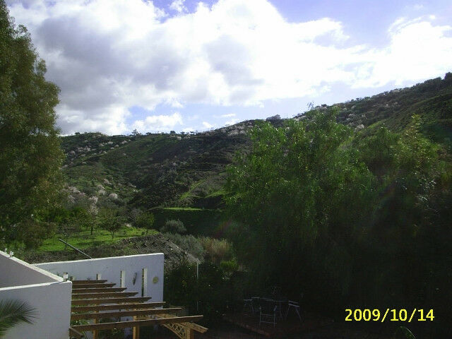 Finca - Cortijo Vélez-Málaga Málaga - image 38