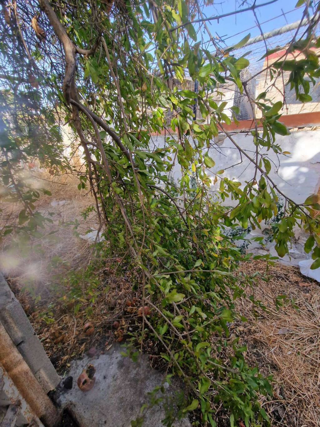 Detached Villa Alora Málaga - image 38
