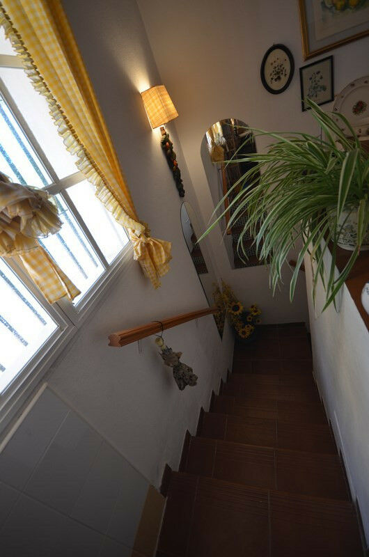 Detached Villa Macharaviaya Málaga - image 38