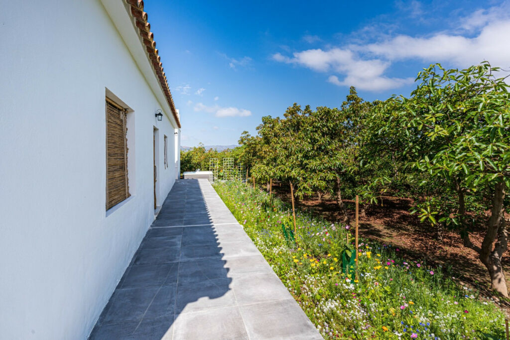 Finca - Cortijo Vélez-Málaga Málaga - image 38