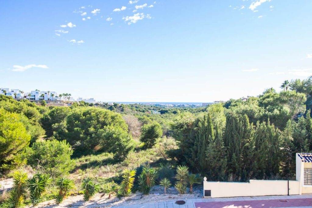 Detached Villa Las Ramblas Golf Alicante - image 38
