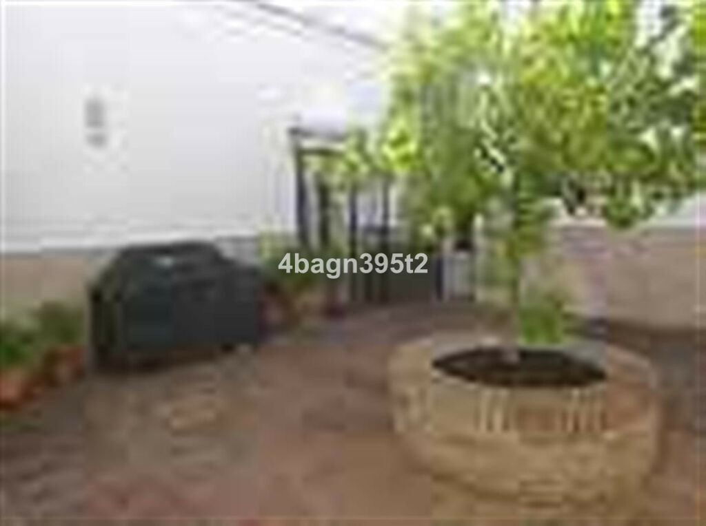 Detached Villa Sedella Málaga - image 39