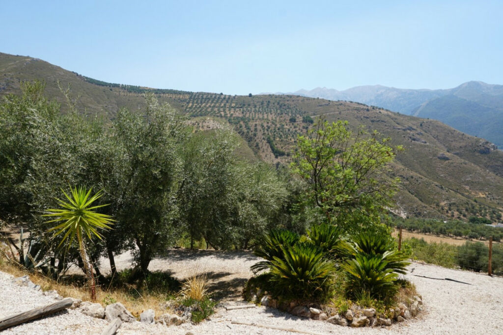 Detached Villa Alcaucín Málaga - image 39