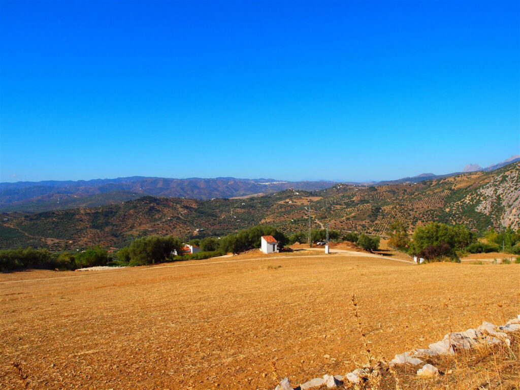 Finca - Cortijo Alfarnatejo Málaga - image 4