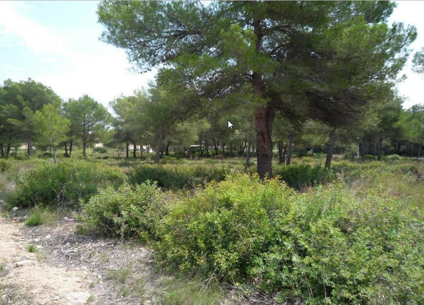Land Javea Alicante - image 4