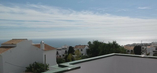 Detached Villa Nerja Málaga - image 4
