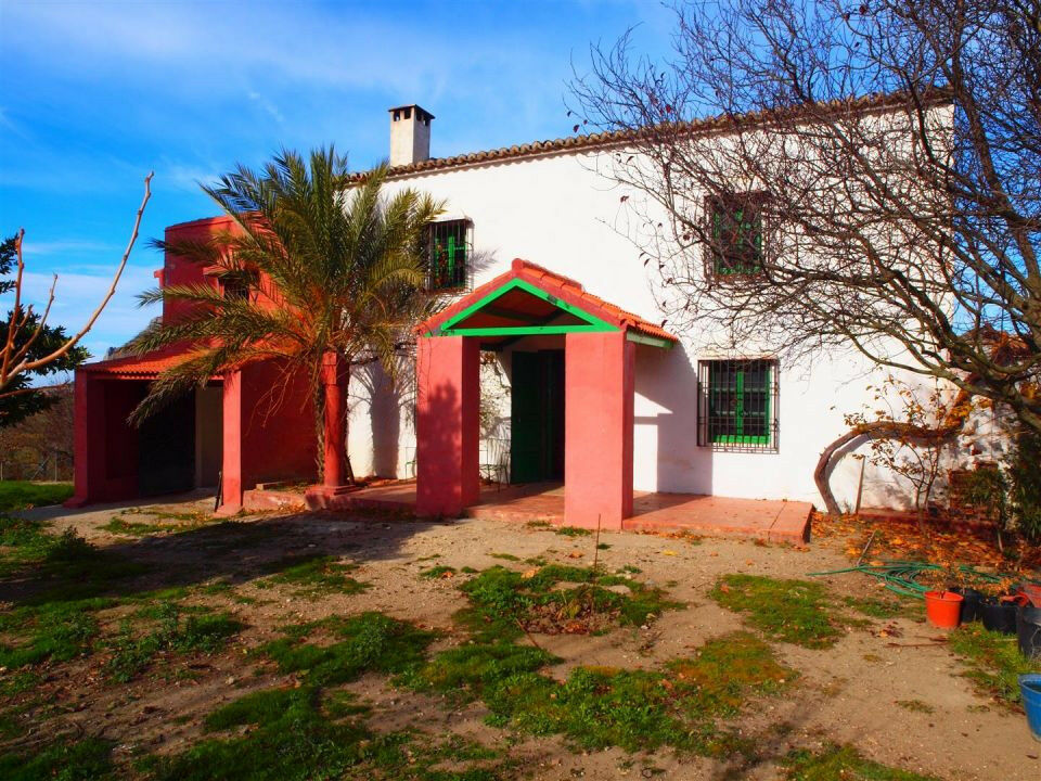 Finca - Cortijo Alcaucín Málaga - image 4