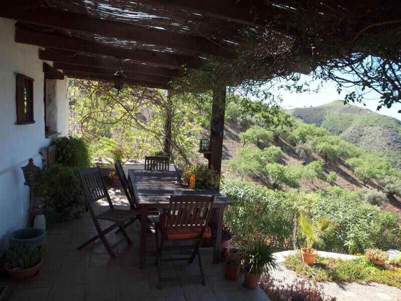 Finca - Cortijo Sedella Málaga - image 4