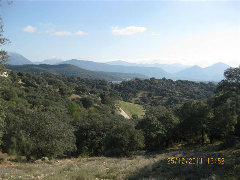 Finca - Cortijo Arcos de la Frontera Cádiz - image 4