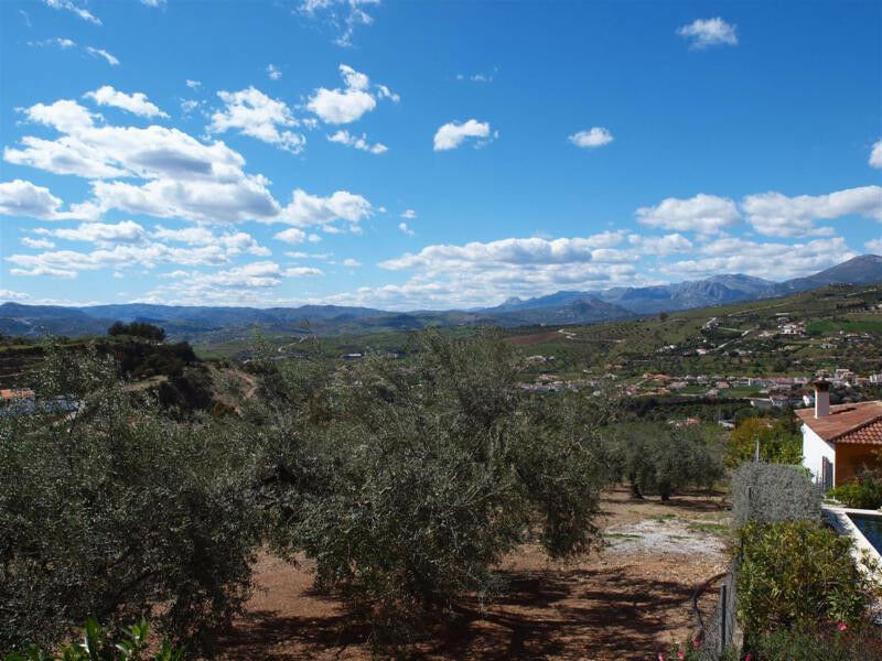 Detached Villa Alcaucín Málaga - image 4