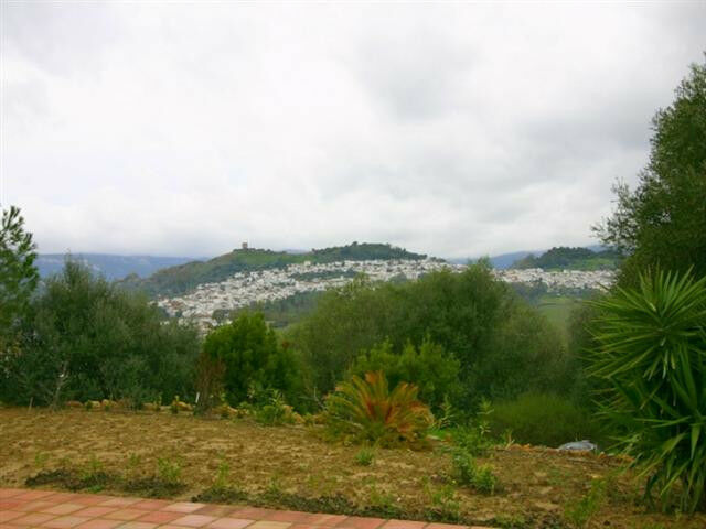 Finca - Cortijo Jimena de la Frontera Cádiz - image 4