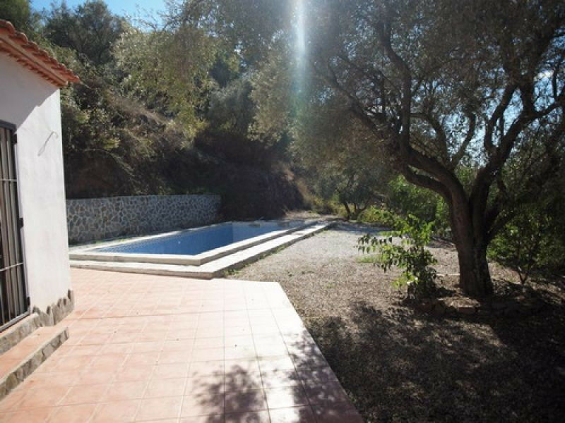 Detached Villa Cómpeta Málaga - image 4
