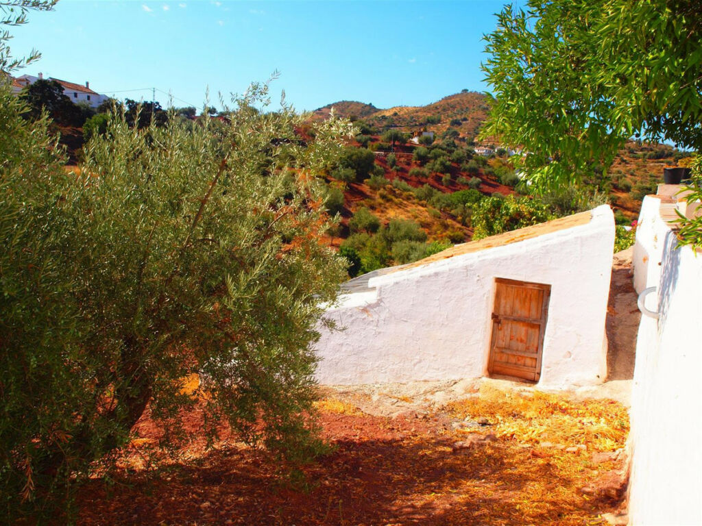 Finca - Cortijo Comares Málaga - image 4