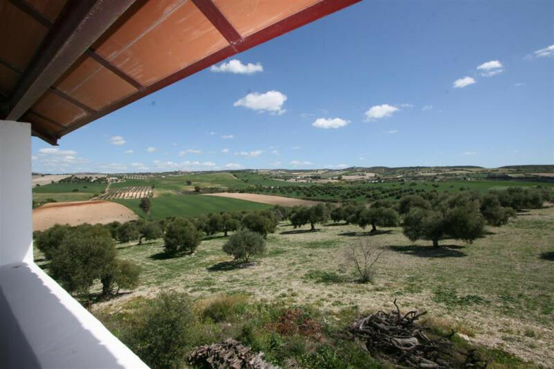 Finca - Cortijo Arcos de la Frontera Cádiz - image 4