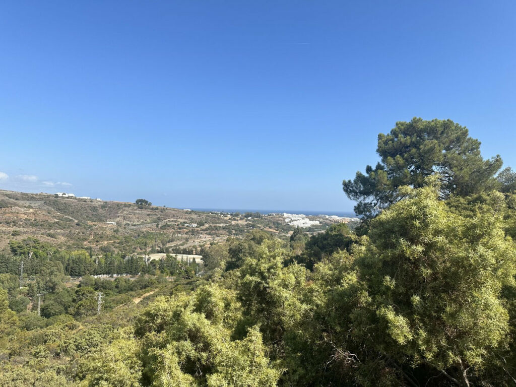 Land Benahavís Málaga - image 6