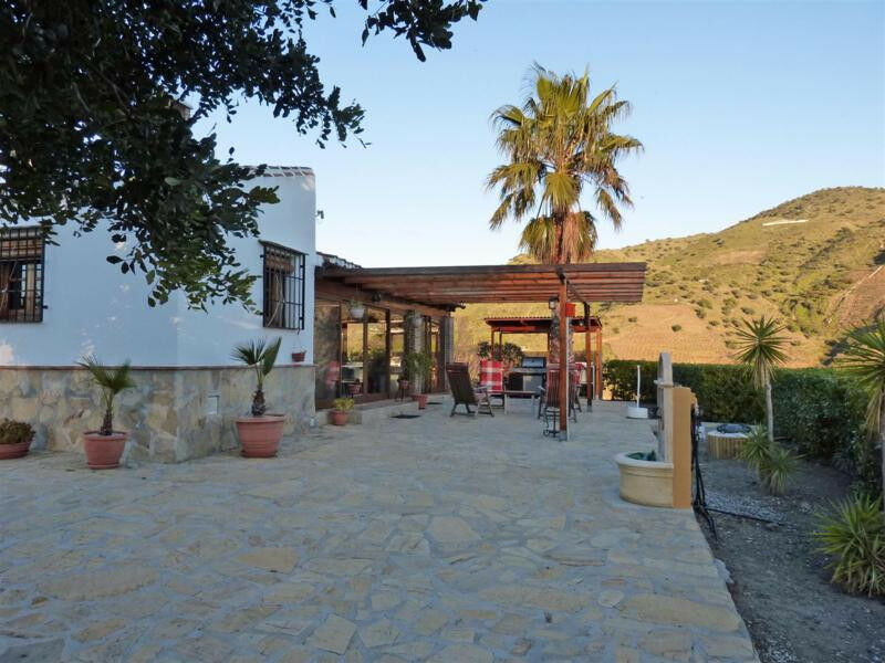 Finca - Cortijo Viñuela Málaga - image 4