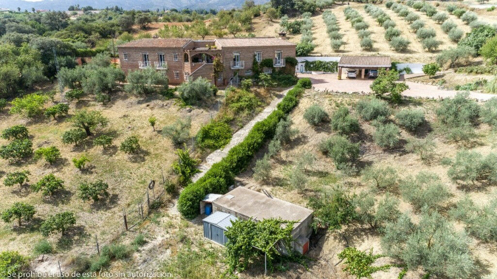 Finca - Cortijo Alhaurín de la Torre Málaga - image 4
