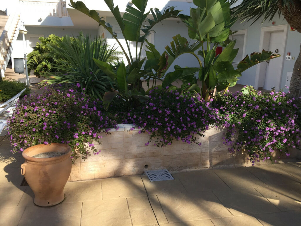 Ground Floor Apartment La Fustera Alicante - image 4