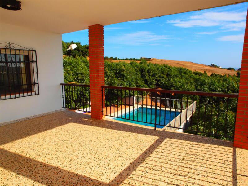 Finca - Cortijo Almayate Málaga - image 4