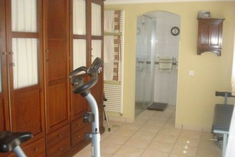 Detached Villa Iznate Málaga - image 4