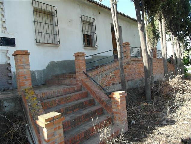 Finca - Cortijo Vélez-Málaga Málaga - image 4