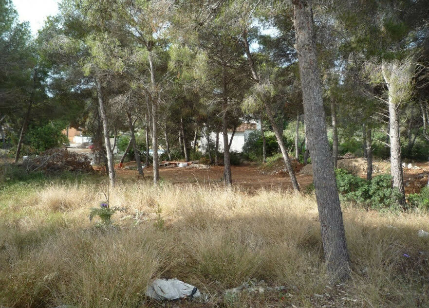 Land Moraira Alicante - image 4