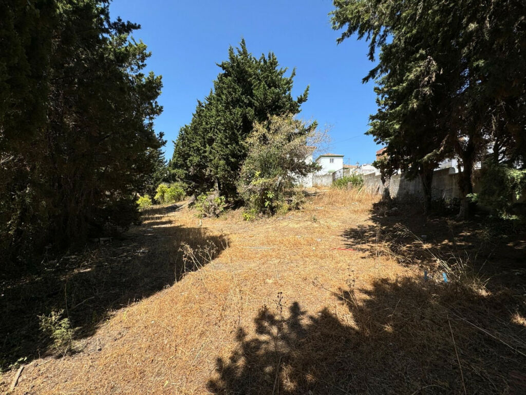 Residential Plot San Roque Cádiz - image 4