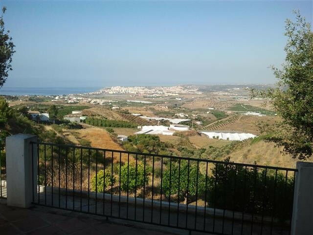 Finca - Cortijo Algarrobo Málaga - image 4