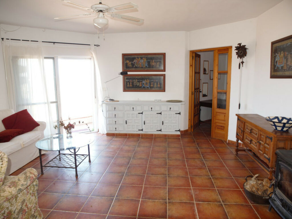 Detached Villa Canillas de Aceituno Málaga - image 4