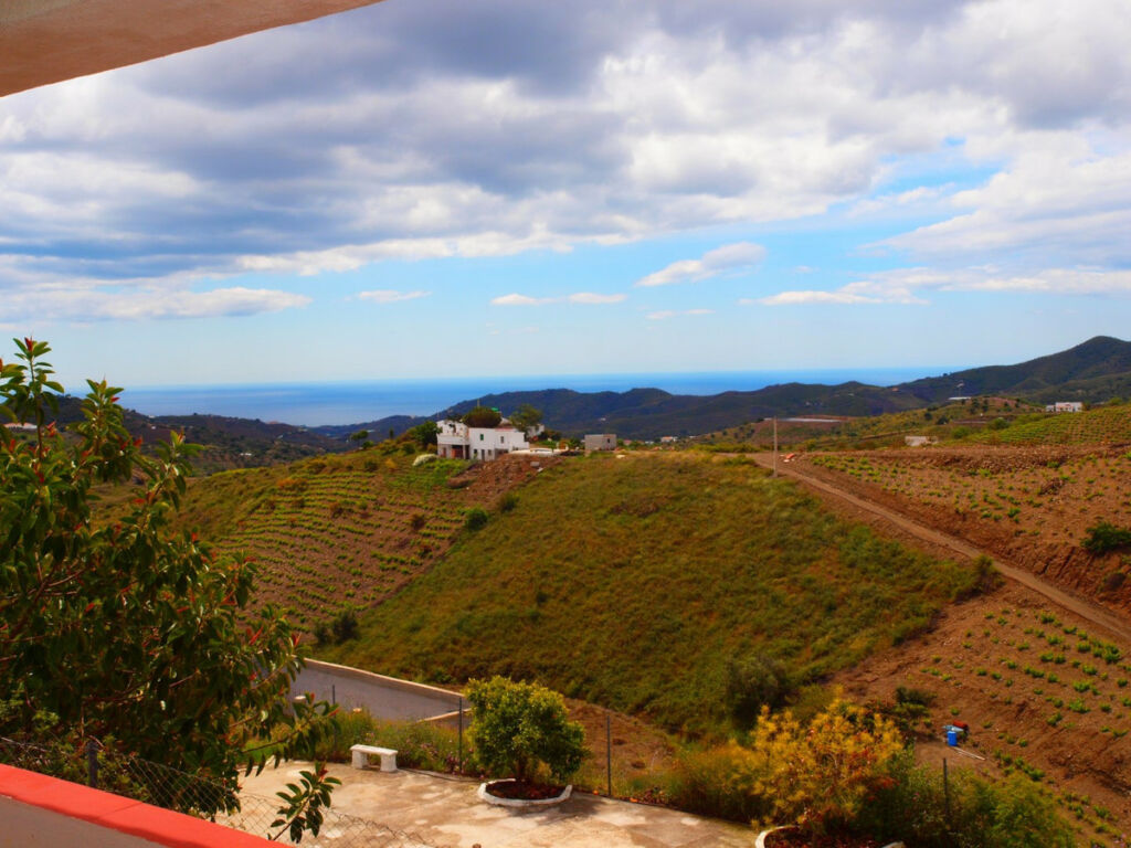 Finca - Cortijo Iznate Málaga - image 4