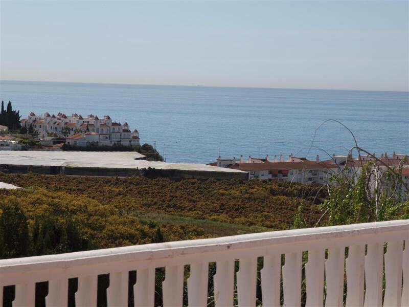 Detached Villa Mezquitilla Málaga - image 4