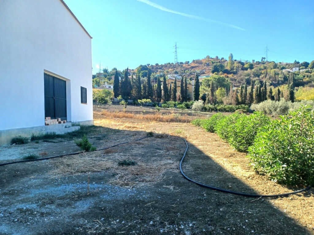 Finca - Cortijo Coín Málaga - image 4