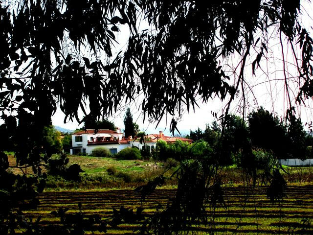 Finca - Cortijo Jimena de la Frontera Cádiz - image 4