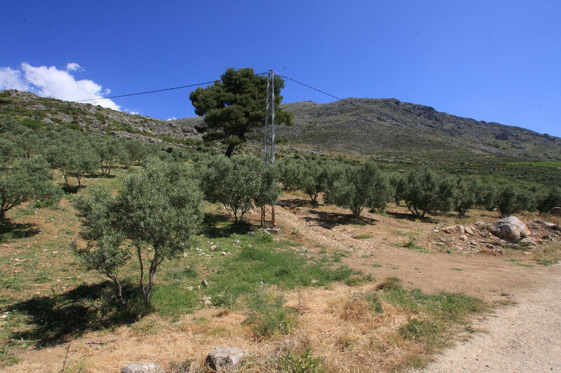 Land Periana Málaga - image 4