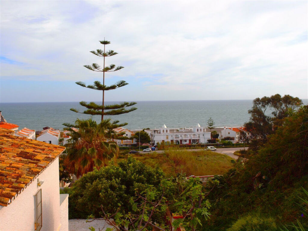 Detached Villa Benajarafe Málaga - image 4