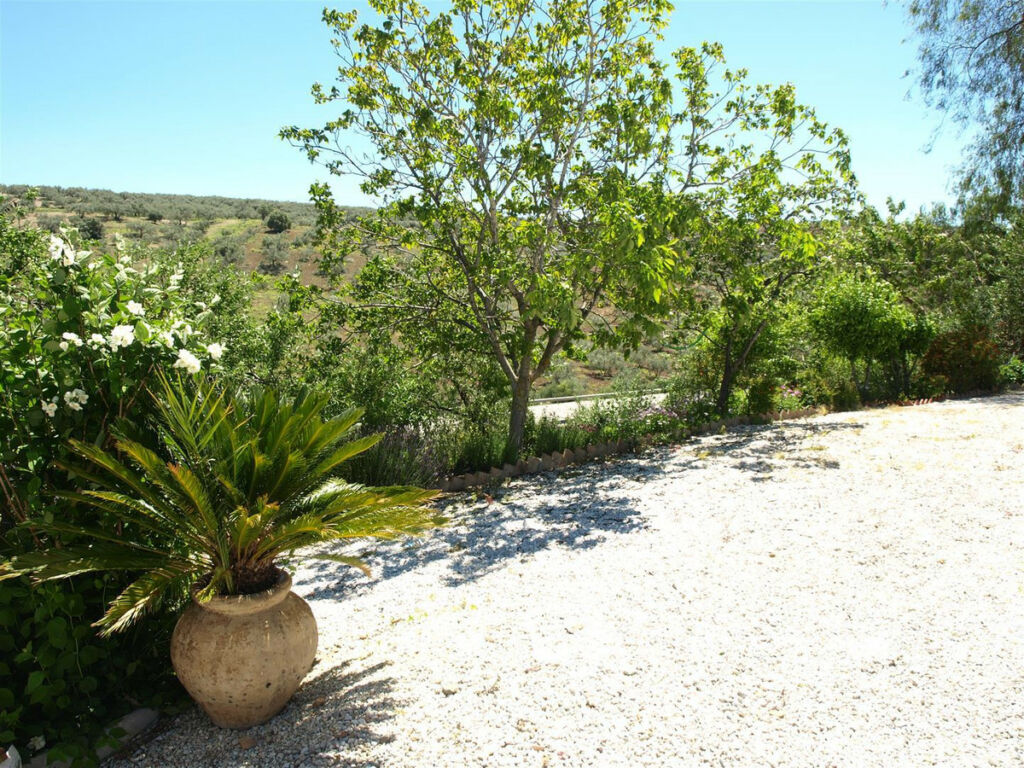 Finca - Cortijo Riogordo Málaga - image 4