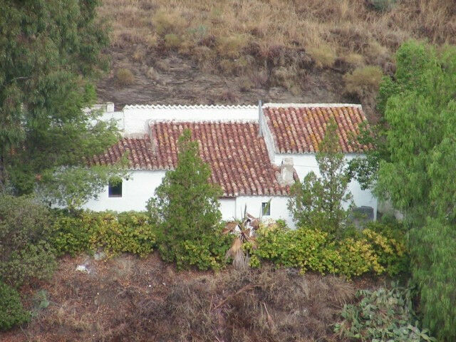 Finca - Cortijo Vélez-Málaga Málaga - image 40
