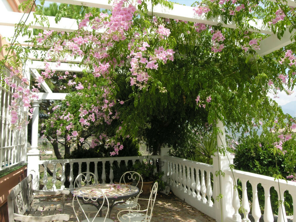Detached Villa Torrox Málaga - image 40