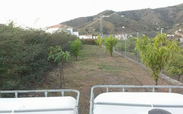 Finca - Cortijo Torrox Málaga - image 41