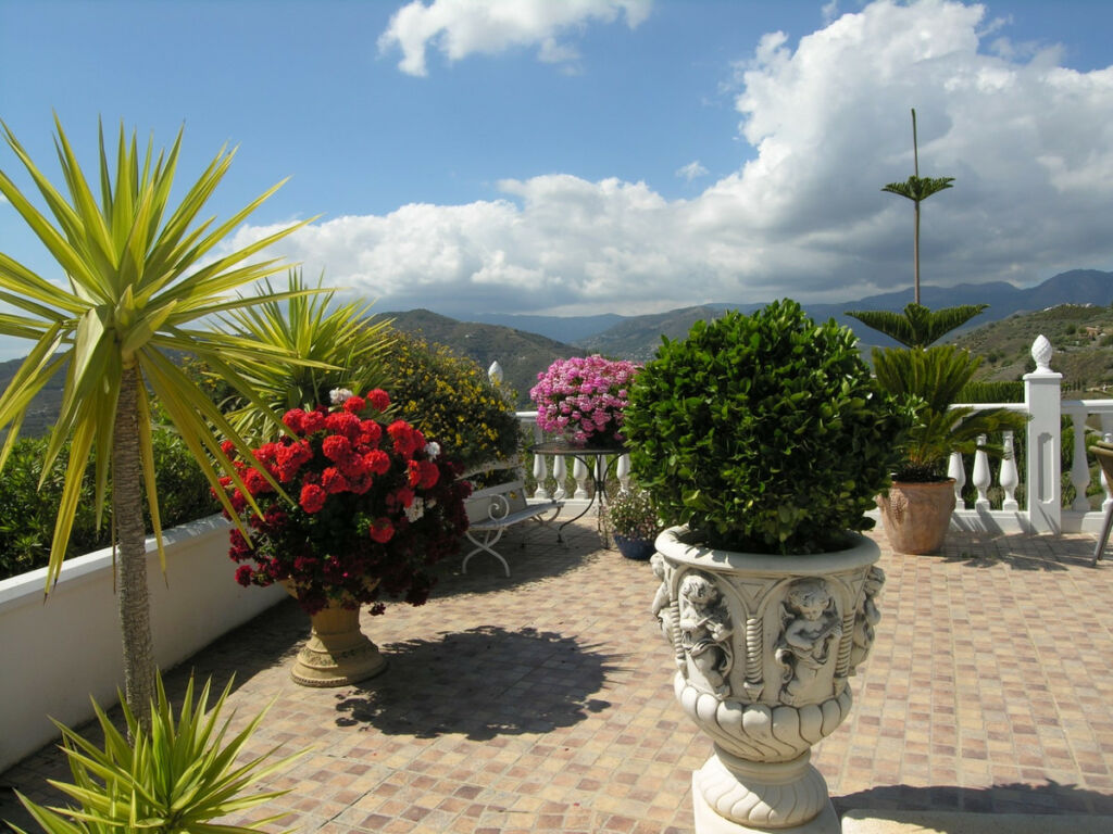 Detached Villa Torrox Málaga - image 41
